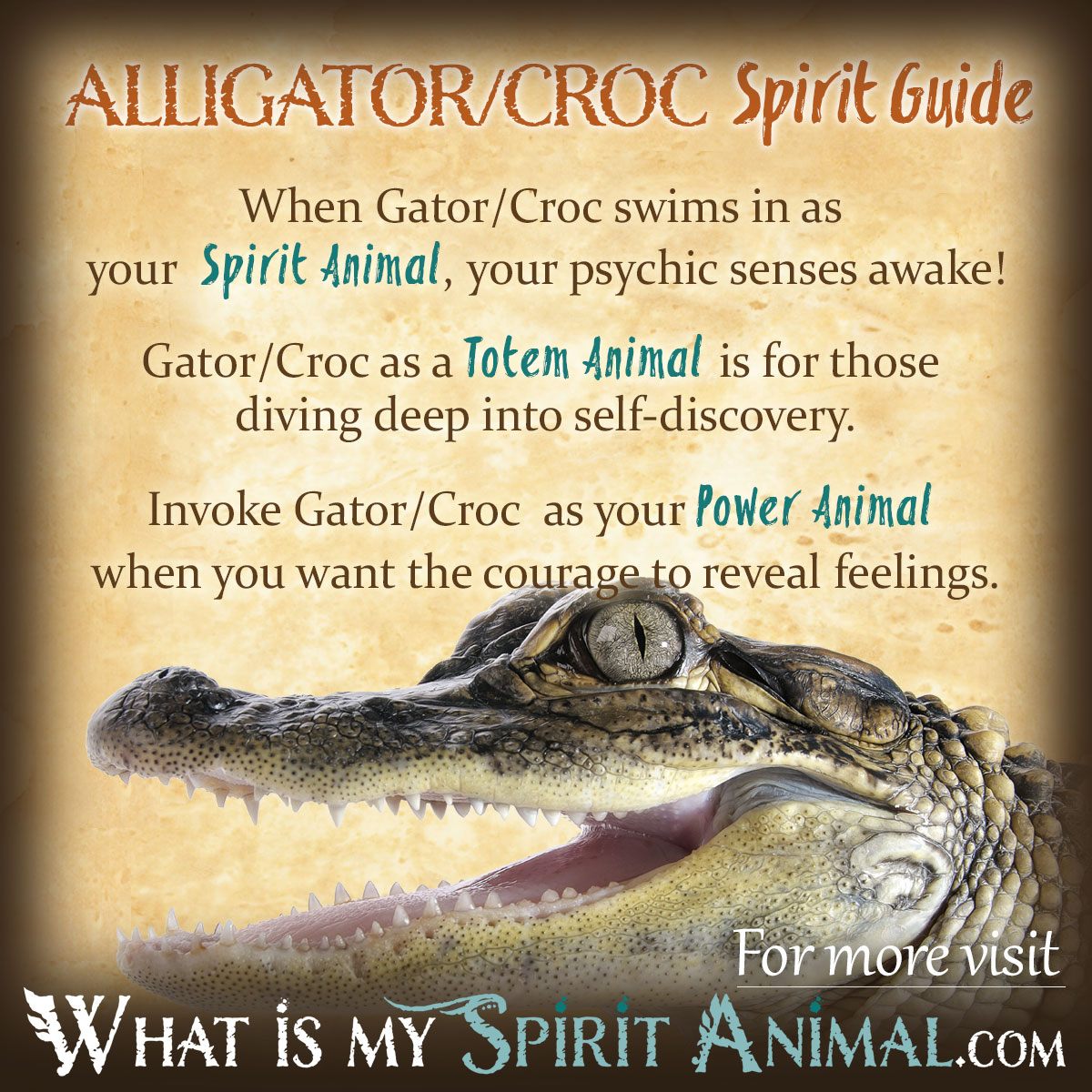 Značenje snova o aligatoru ili krokodilu - što to znači?