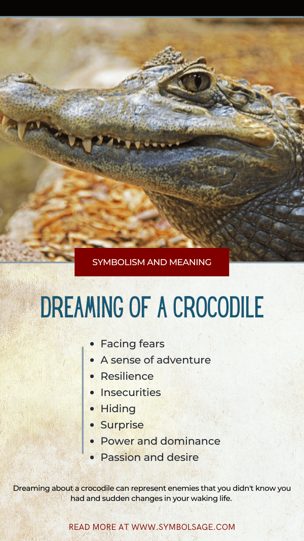 Drømmeleksikon om krokodiller: Fortolk nu!