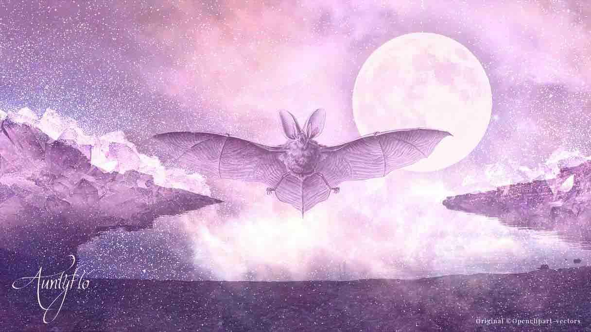 Drøm om flagermus - Bat Dream Betydning og fortolkning