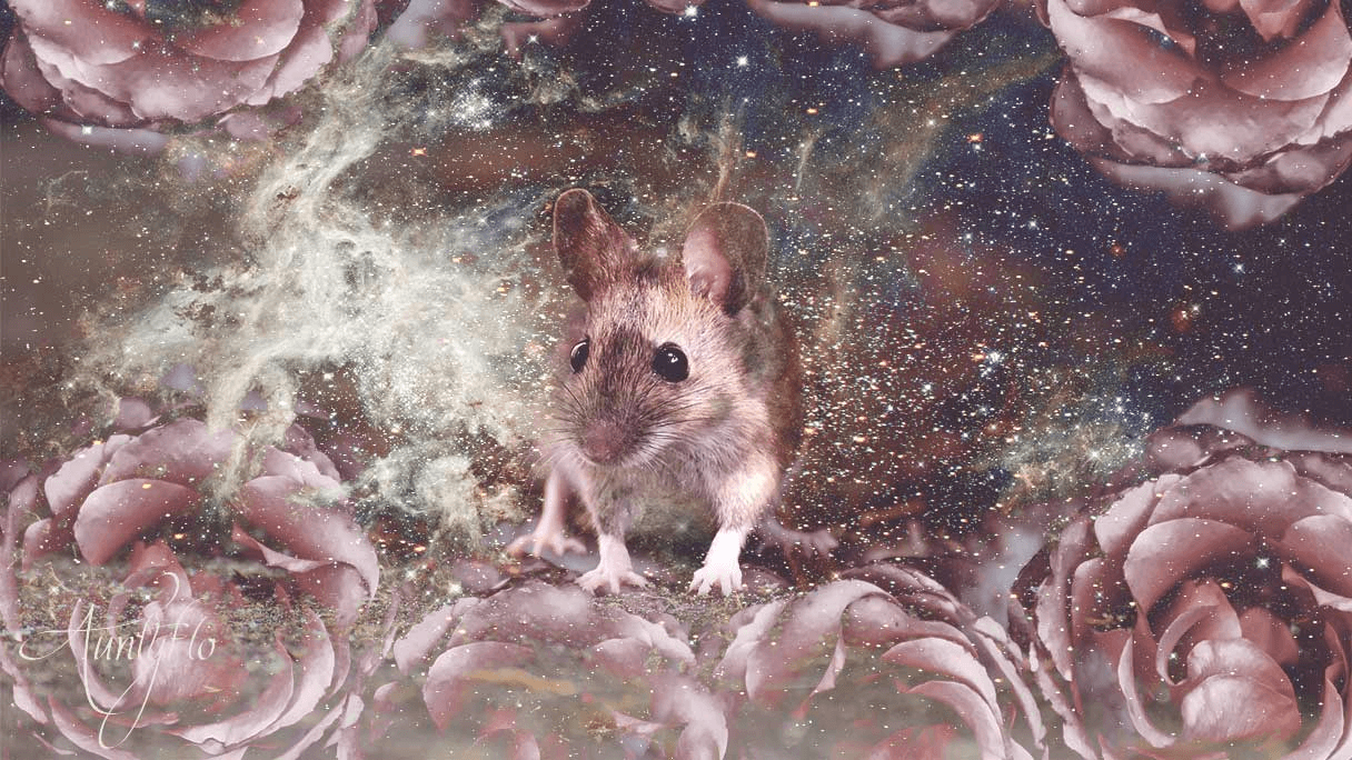 Soñar con ratones o ratones - Significado e interpretación