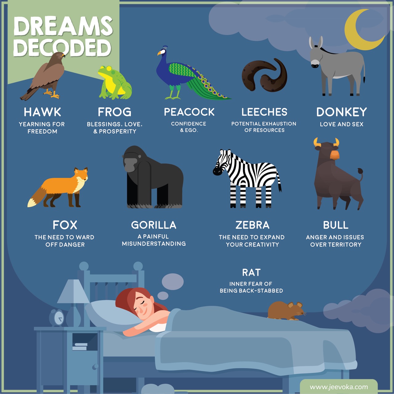 जानवरों के बारे में सपने - व्याख्या और अर्थ