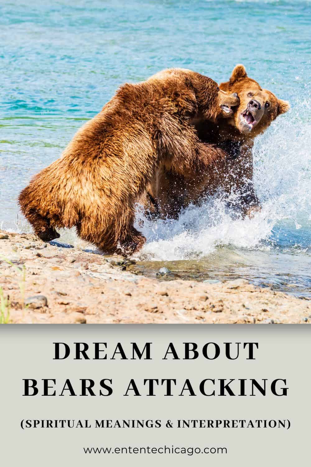 Snovi o napadu medvjeda - značenje i tumačenje