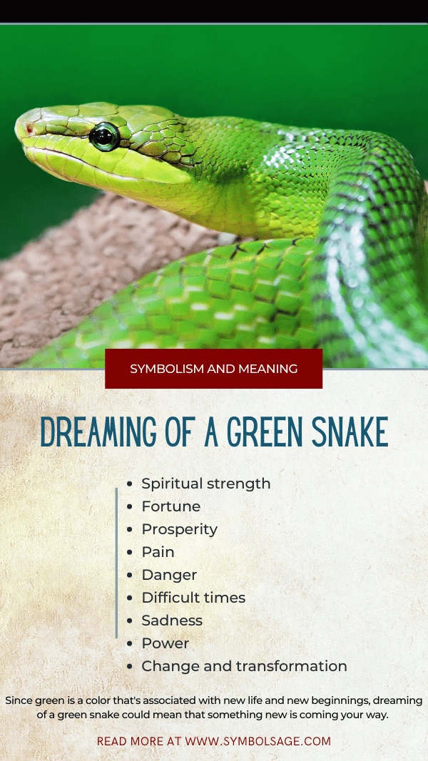 Rječnik snova zelene zmije: protumačite odmah!