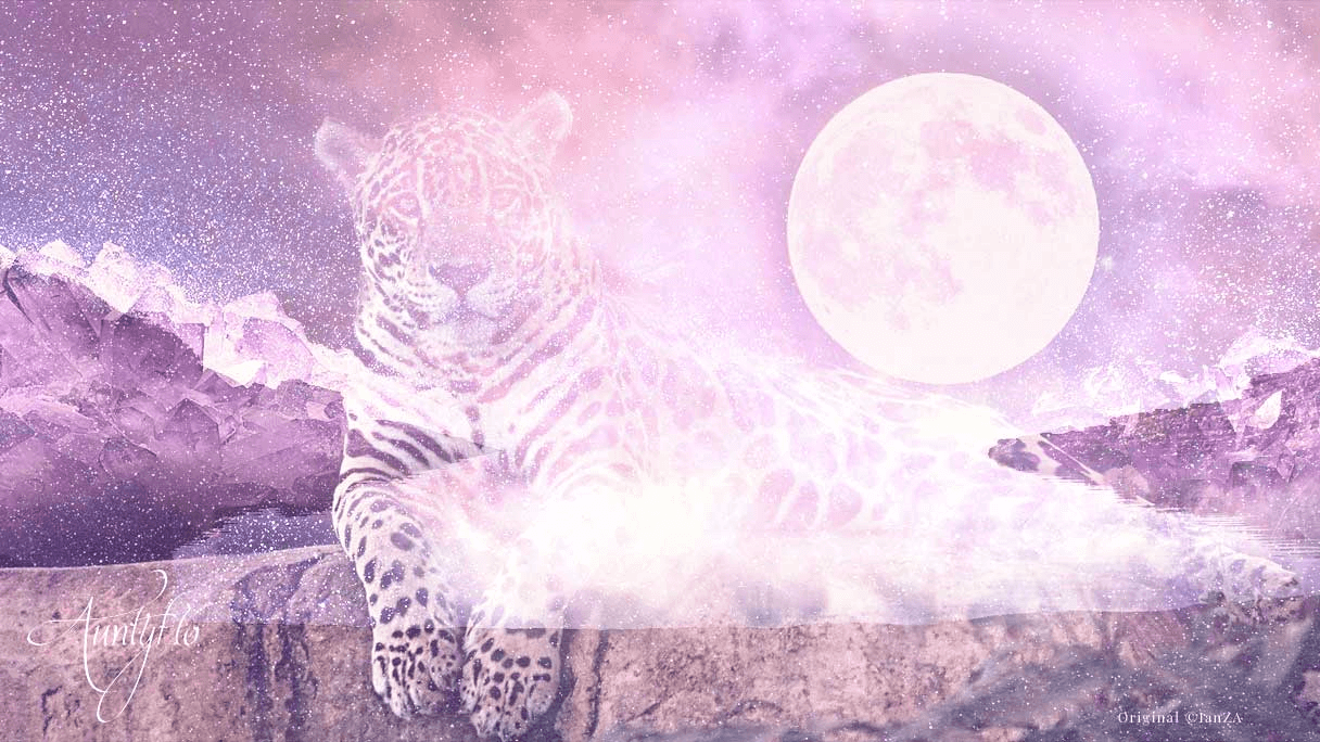 Faclair Jaguar Dream: Mìnich a-nis!