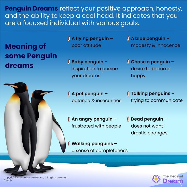 પેંગ્વિન સ્વપ્નનો અર્થ &amp; અર્થઘટન - તમારે આલિંગનની જરૂર છે!