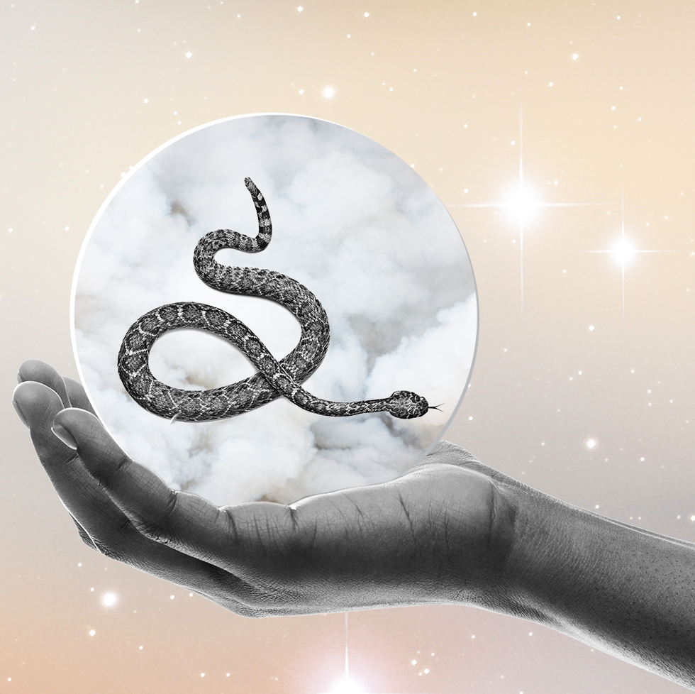 Serpiente Significado de los sueños - Los sueños acerca de las serpientes