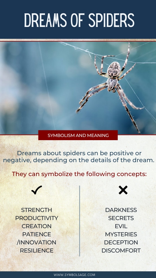 मकड़ी के सपने का अर्थ और व्याख्या