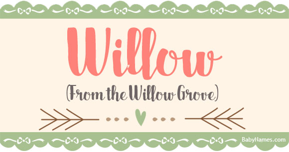 Willow სახელის მნიშვნელობა