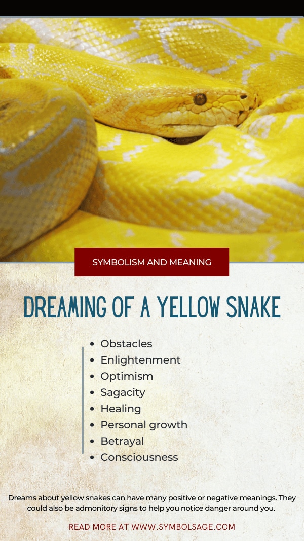 Sueño de serpiente amarilla - Interpretación y significado